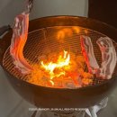 아라가온 이미지