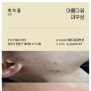 또올 이미지
