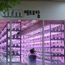 중동농장 이미지