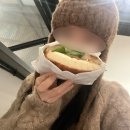 코스모하버 인 명동2 | 영심아 영심아 왜요쌤 왜요쌤 블로그포스팅밀리지말랬지 죄송해요쌤