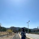 봄;그리고달춘월 이미지