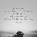 불후의 명곡ㅡ장윤정&영지 ㅡ내 하나의 사람은 가고 이미지