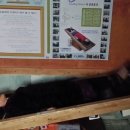 평안동-2 이미지