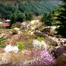 가장 아름다운 노래 이미지