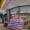 프로방스 노래연습장 | 진도 가족 여행 추천, 진도 가볼만한 곳 &#39;쏠비치 진도&#39; 부대시설 소개