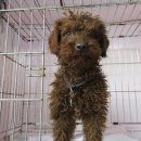 하단2동주민센터 이미지