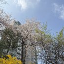 상암근린상가 화장실 | 마포 / 상암 : [근린커피 상암] 메뉴 추천, 작업하기 좋은 동네 카페 ♥︎