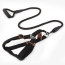 스마트애견 이미지