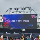 나주 영산포 홍어축제에서 펼쳐진 환상의 버블매직 – 마법사 버블타이거 공연 후기