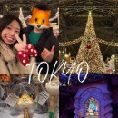 (주)주식회사 동광투어 | 도쿄 디즈니랜드 티켓 dpa 놀이기구 추천 크리스마스 후기