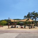 서호꽃뫼 이미지