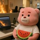 입이 트이는 영어 이미지