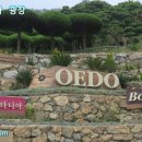 외도보타니아주 이미지