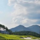 동강시스타 이미지