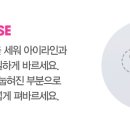 허니블링 이미지