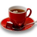 나비환상곡 이미지