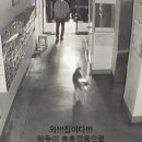 베스트드림마트 이미지