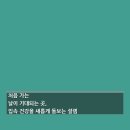 처음 가는 날이 기대되는 곳, 입속 건강을 새롭게 돌보는 설렘