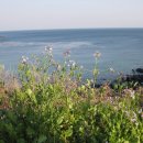 파도식탁 이미지