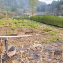 웃말농장 이미지