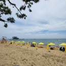 진하슈퍼 이미지