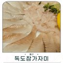독도참가자미 | 울산 신정동 맛집 울산 자연산회 독도참가자미