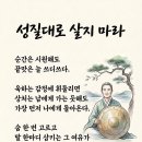 승질대로 살지마라ᆢ 이미지