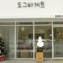 도그바게트 이미지