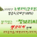 보리씨 이미지