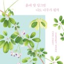 꽃.나무와흙