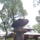 성복사 이미지