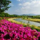 경상남도 여행지 - 함양산삼축제가 열리는 함양 여행 이미지