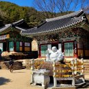 천은사 - 1455 | 천은사
