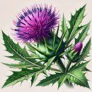 영양과건강약국 이미지