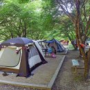 덕동자동차야영장 이미지