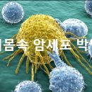 내몸속 암세포(癌細胞) 박멸(撲滅) 이미지