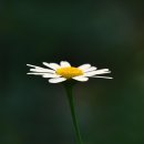 바이오농장 이미지