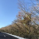 태우농장 | [제주/서귀포] 12월 따뜻했던 제주도 2박3일 여행 프롤로그