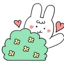 요를레이케이크 이미지