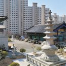 무정초등학교 앞 이미지