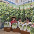 [놀이]🥬🍂 배추밭에서 놀아요~ 🍂🥬 이미지