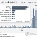 서울시 &#34;모든 8·15집회 참가자 검사..비용 무료, 익명도 가능&#34; 이미지