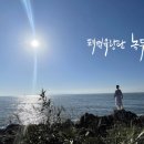 태권유랑단 녹두 이미지