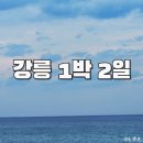 이마트24 강문해변점 | 강릉 1박 2일 여행 강릉 세인트존스호텔 맛집 카페 바다 수영 여행 코스 가볼만한 곳 우정여행 후기