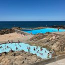 포르투 바다 수영장 피시나 다스 마레스 Piscina das Marés 가는 방법, 이용 정보 등