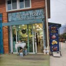 나무향기펜션 앤 커피 이미지