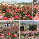 임실치즈테마파크1 이미지