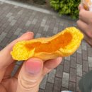 쁘띠커