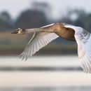 코아루나눔터도서관 이미지