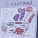 가평사과나무캠핑장 | 조용한 캠핑을 좋아하신다면 가평 사과나무 캠핑장, 포도존 3번 후기